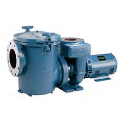 Pentair Pmp Com Pool 10Hp 230/460 3Ph - product image