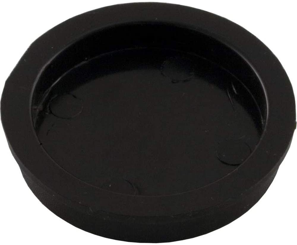 Pentair Plug Black | R172225X - product image