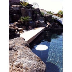 SR Smith In-Pool/Spa 16" Seat, 42" Tall - product image