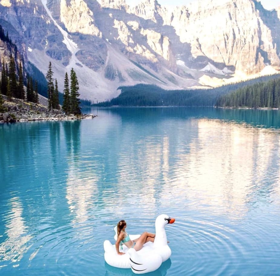 Swimline Giant Swan Ride-On image 3