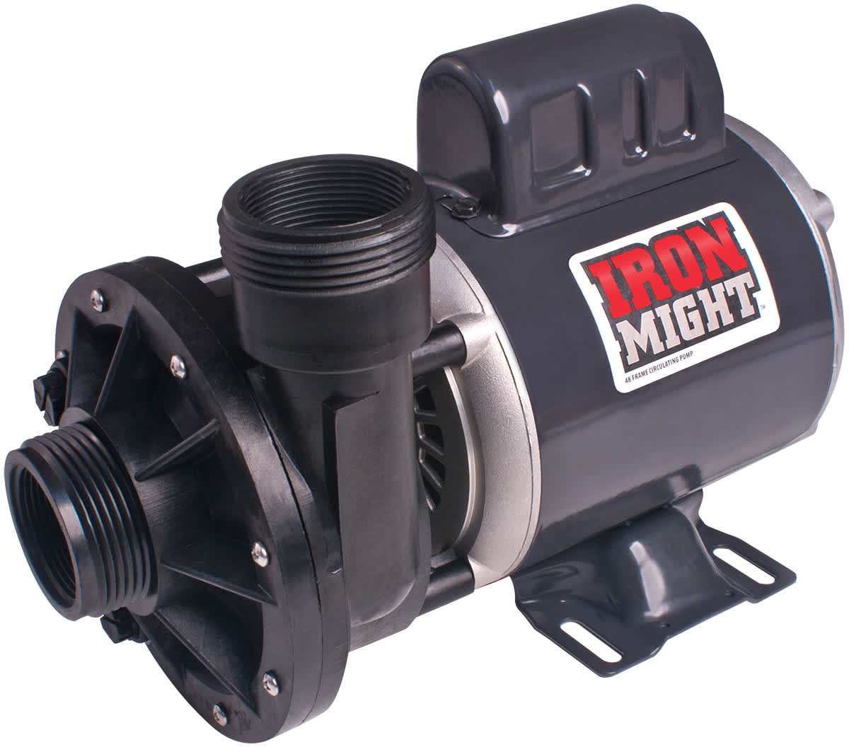 Waterway Iron Might 1/8Hp, 115V, 60Hz, - product image