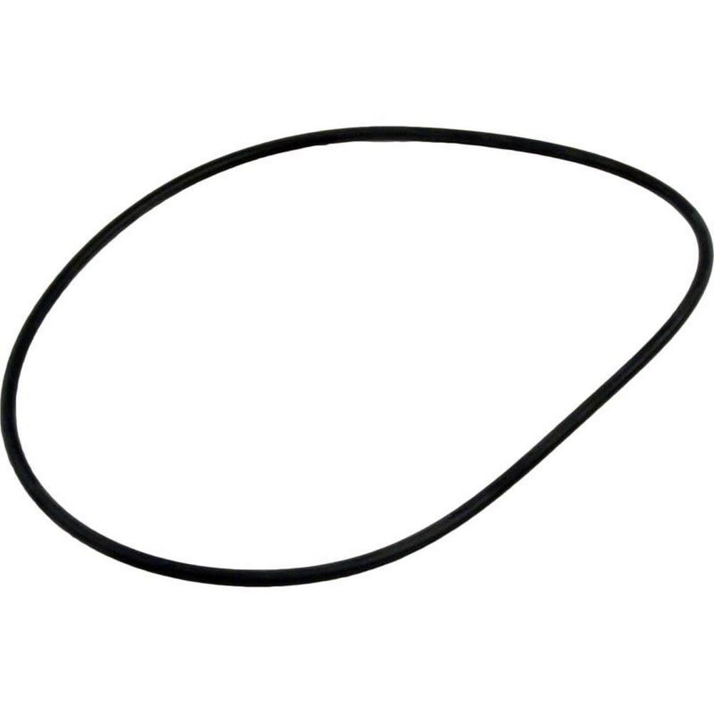 Waterway Lid O-Ring | 805-0254 - product image