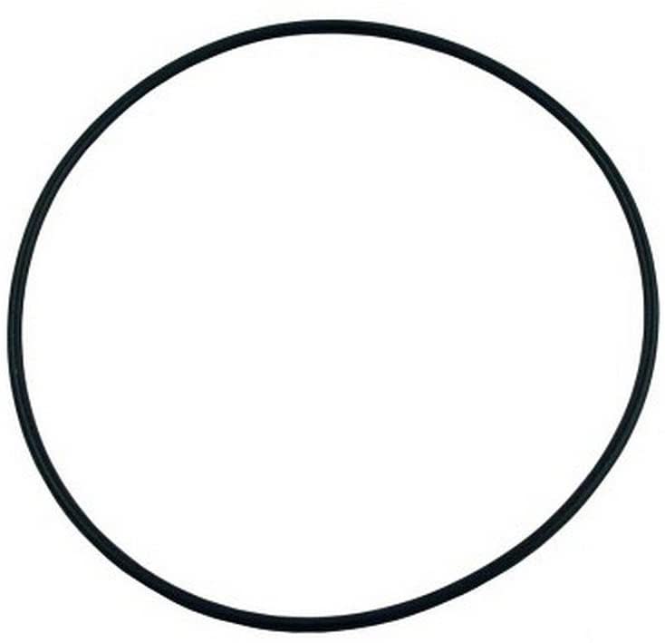Waterway O-Ring For Hi-Flo Pump image 2