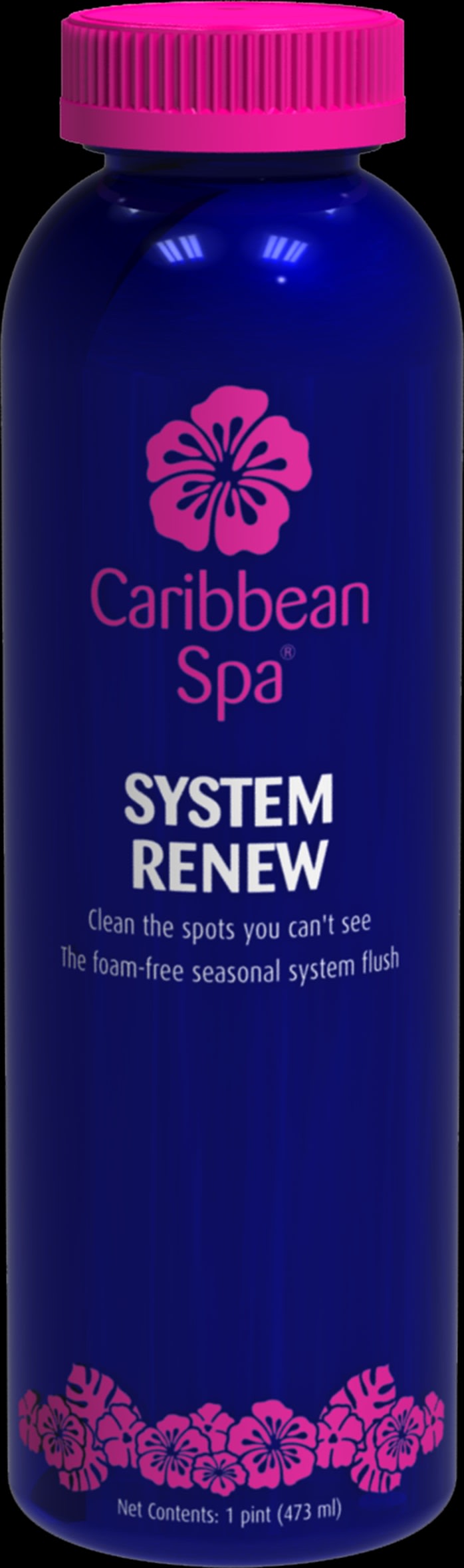 Caribbean Spa 12 x 1 Pint System Renew - product image