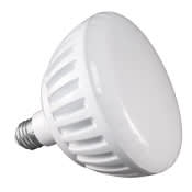 Pure White 2 Led Large Pool Bulb 120V - product image