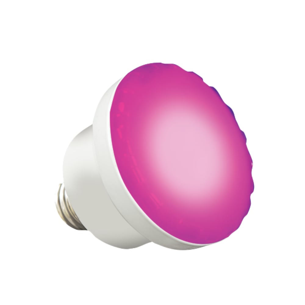 Bulb - Colorsplash Led Spa Rgbw  LPL-S3-RGBW-120
