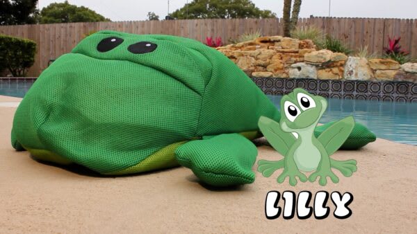 Main Access Seaside Riders Lilly Frog image 2