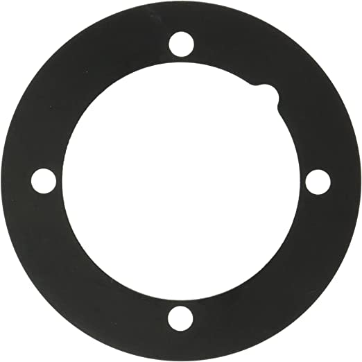 Hayward Inlet Fitting Gasket  