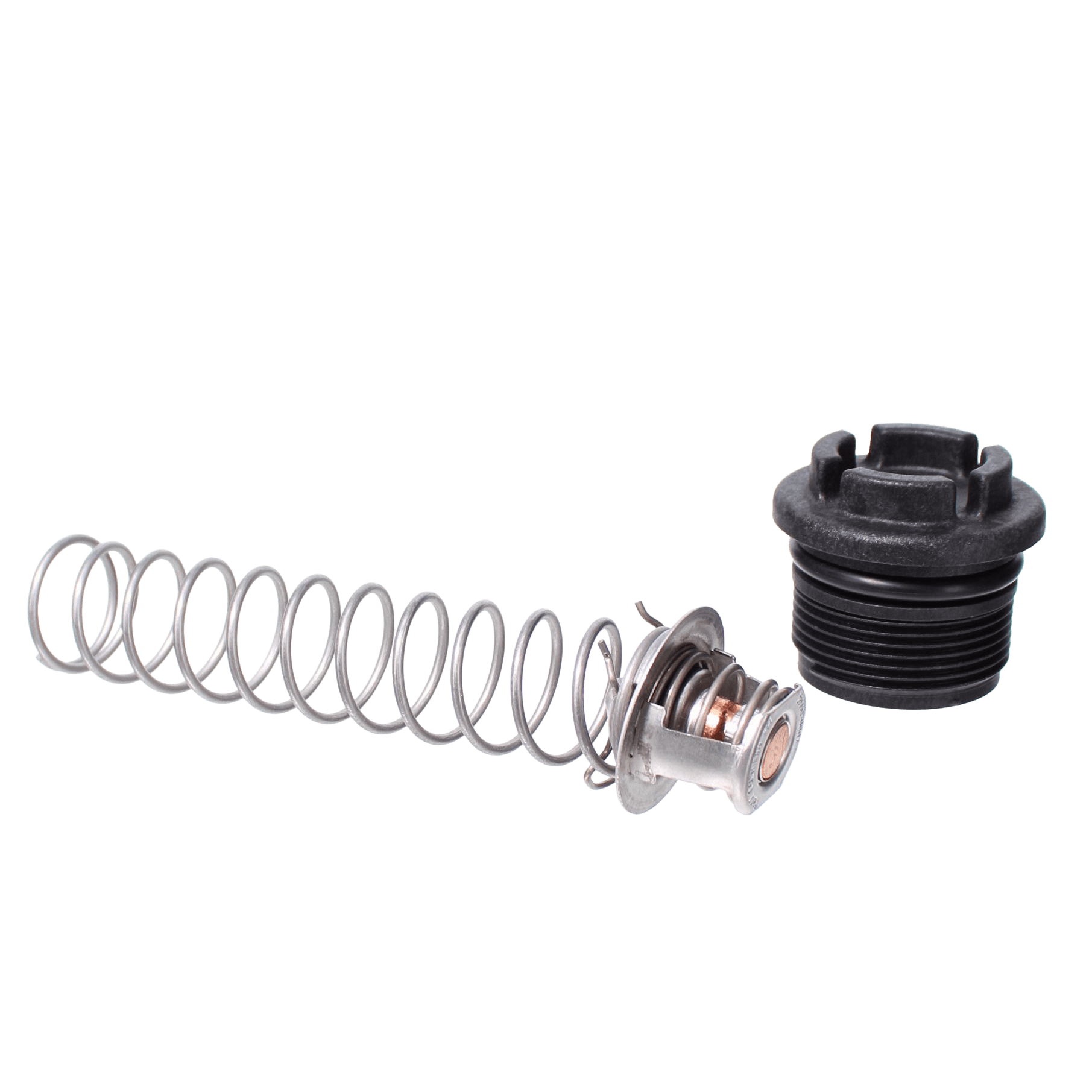 Pentair MasterTemp & Sta-Rite Max-E-Therm Thermal Regulator Kit  