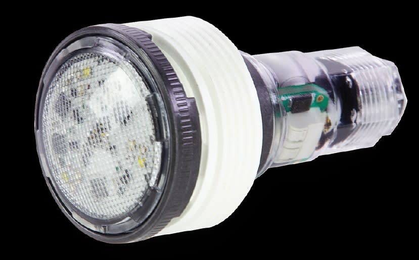 Pentair MicroBrite White LED Light 12V, 100' Cord EC-620429 image 3