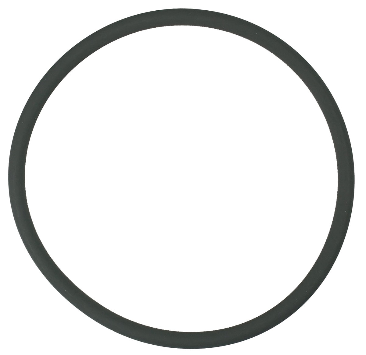 Pentair Rainbow 3in Cap O-Ring  