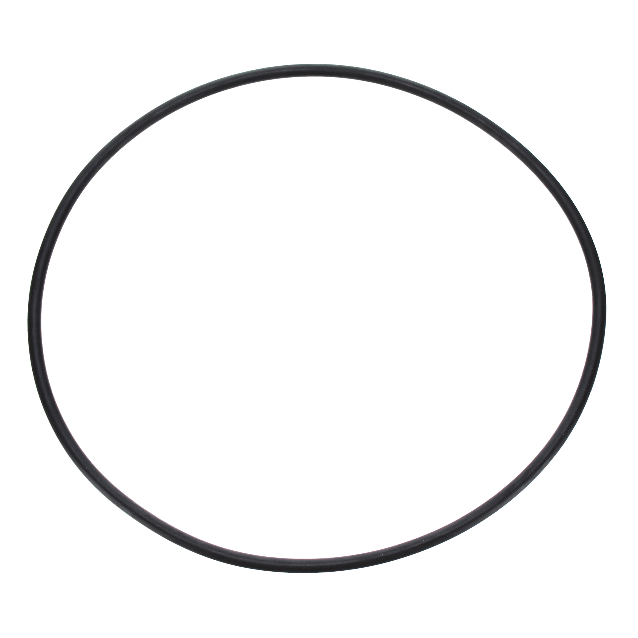 Pentair Seal Plate O-Ring | U9-228AZ image 2