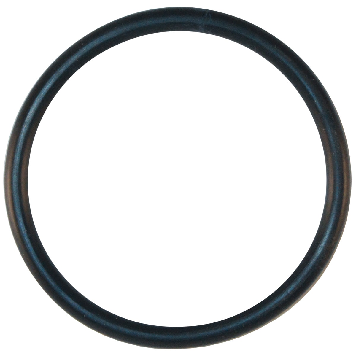 Pentair Max-E-Pro/Dyna-Pro Diffuser O-Ring  
