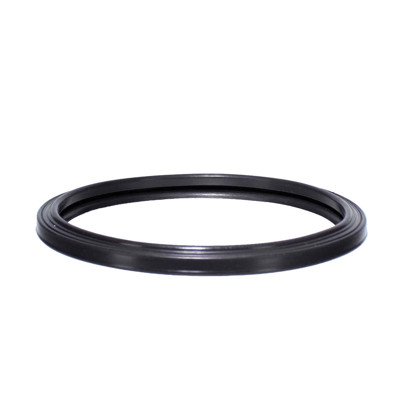 Jandy Pro Series Silicone Gasket, Pool image 2