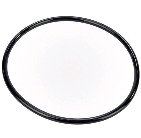 Pentair Pump Lid O-Ring  