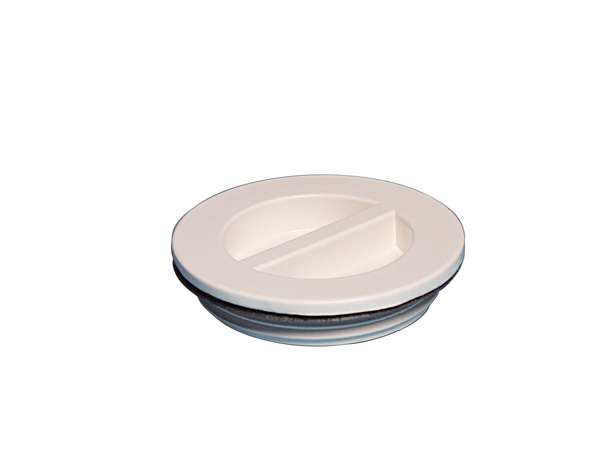 Waterway Flush Plug 1 1/2"With Gasket - - product image
