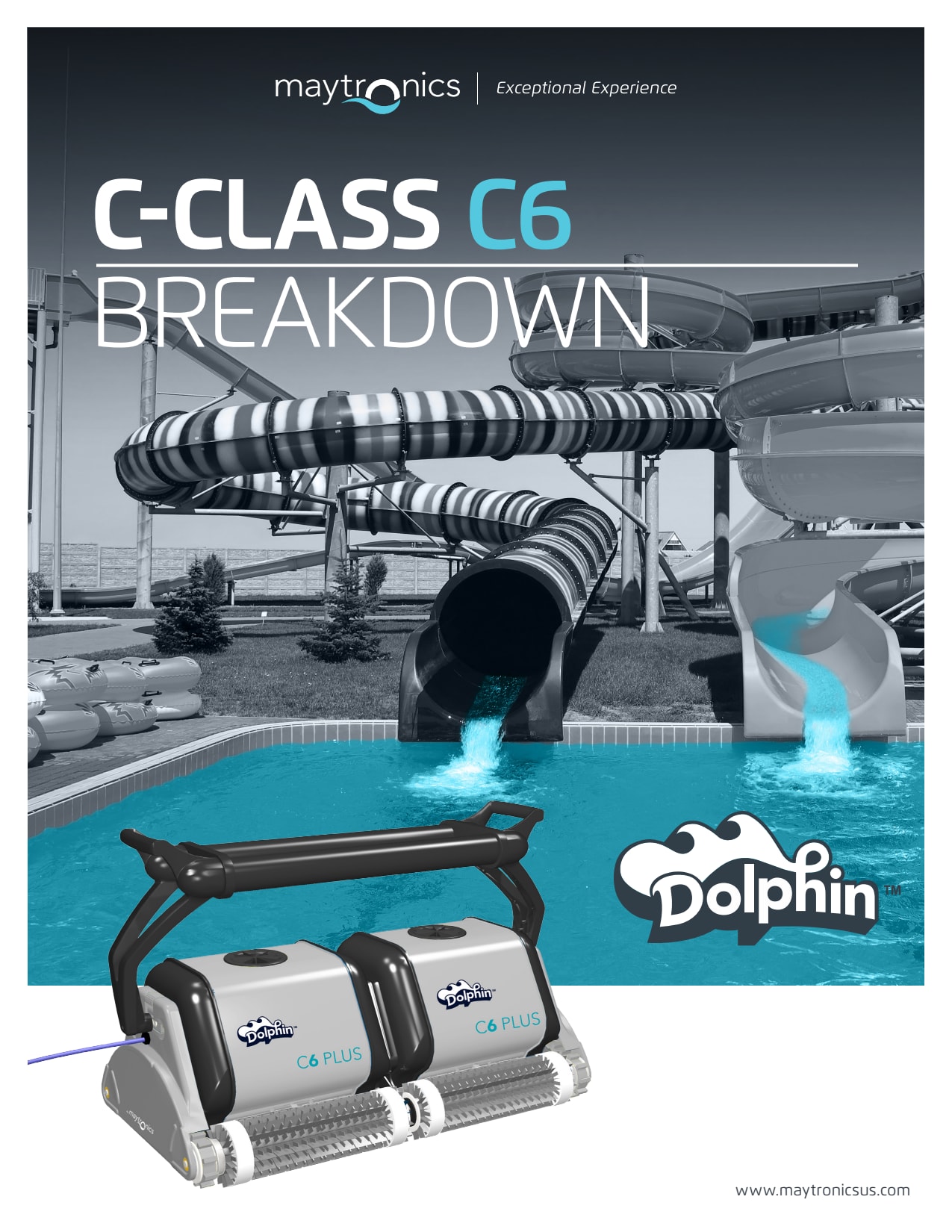 Maytronics Dolphin Wheel Bearing  