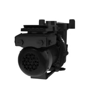 Jandy VS FloPro Variable Residential 1.65 hp 115/230V In-Ground Pump, w/SpeedSet Controller | VSFHP165DVS image 4