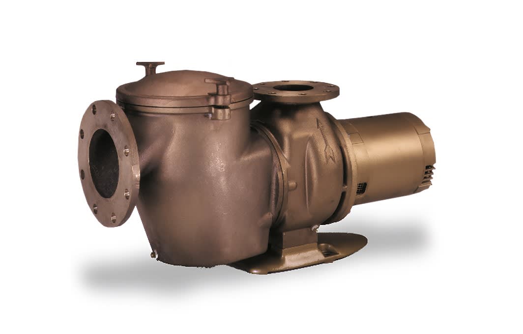PENTAIR PMP CHK150 BR NSF 3PH