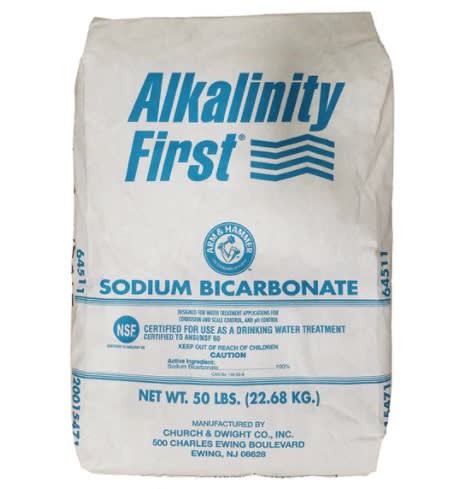 Popular CHL 04 Alkalinity Up 50 lb Bag - product image