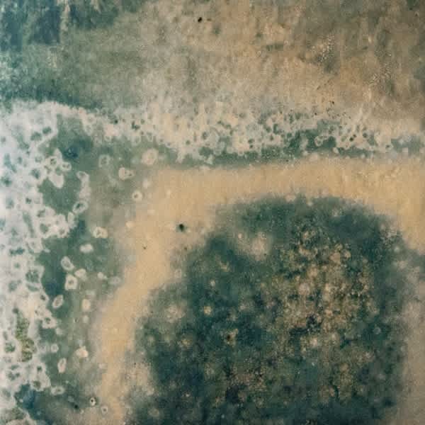 Mare Viridus standard 6 by 6 pool tile sample