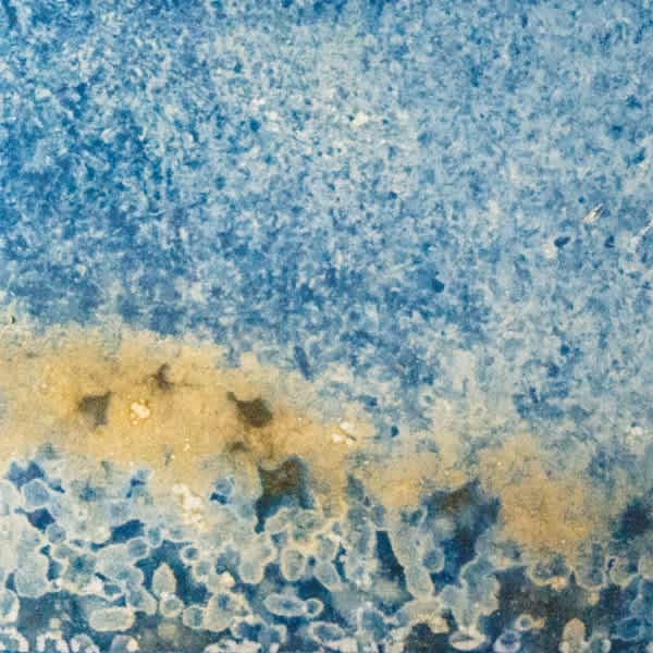 Mare Caeles standard 6 by 6 pool tile sample