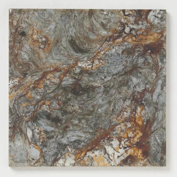 Pacific Barnacle Gray Oyster standard 6 by 6 pool tile sample