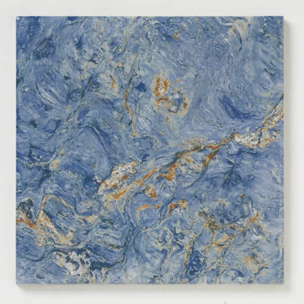 Pacific Barnacle Blue Oyster standard 6 by 6 pool tile sample