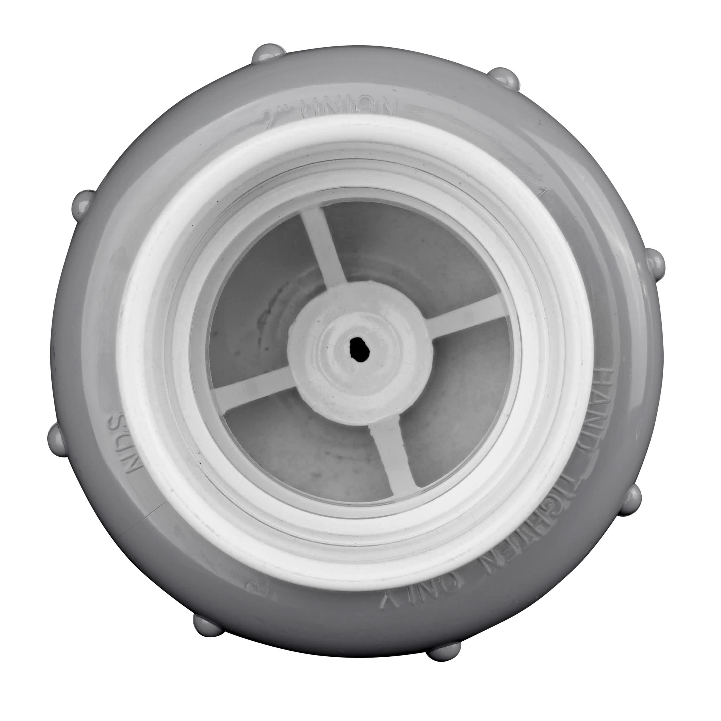 Flo Control 2" PVC Tu Spring Check Vlv. True Union image 6