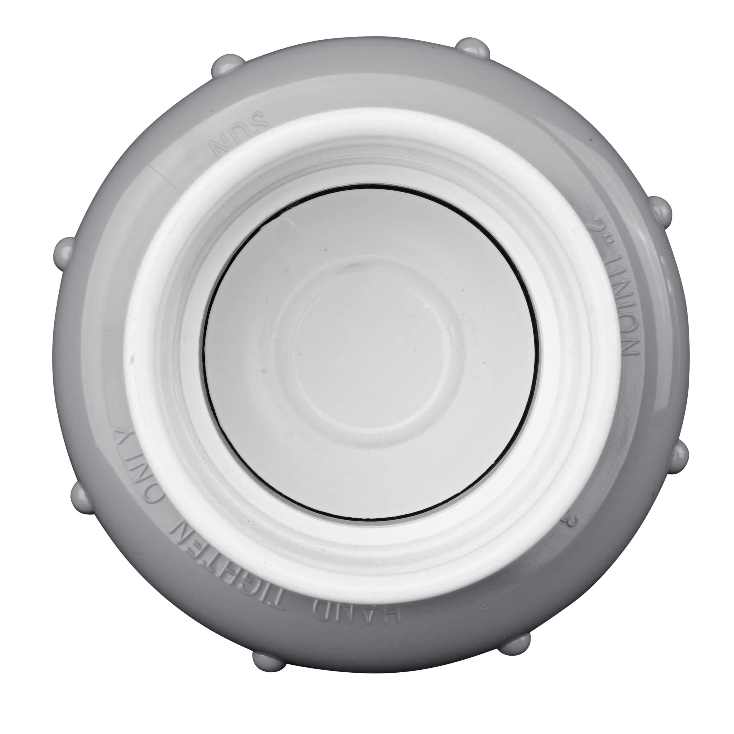 Check Valve Tru Union 2In  Spring image 5