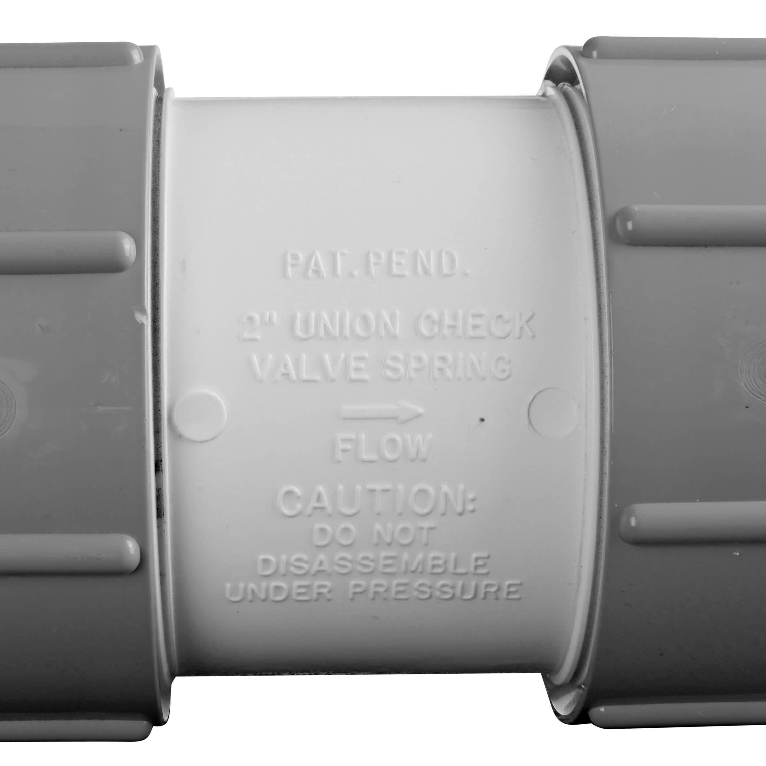 Check Valve Tru Union 2In  Spring image 7
