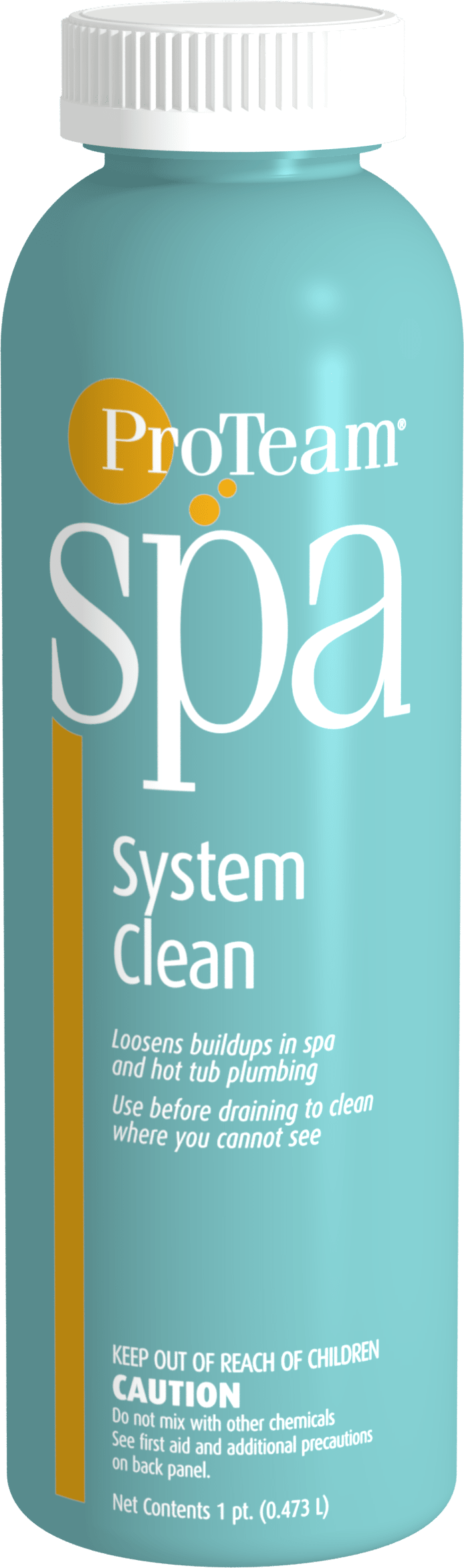 Proteam Spa System Clean Bottle - product image