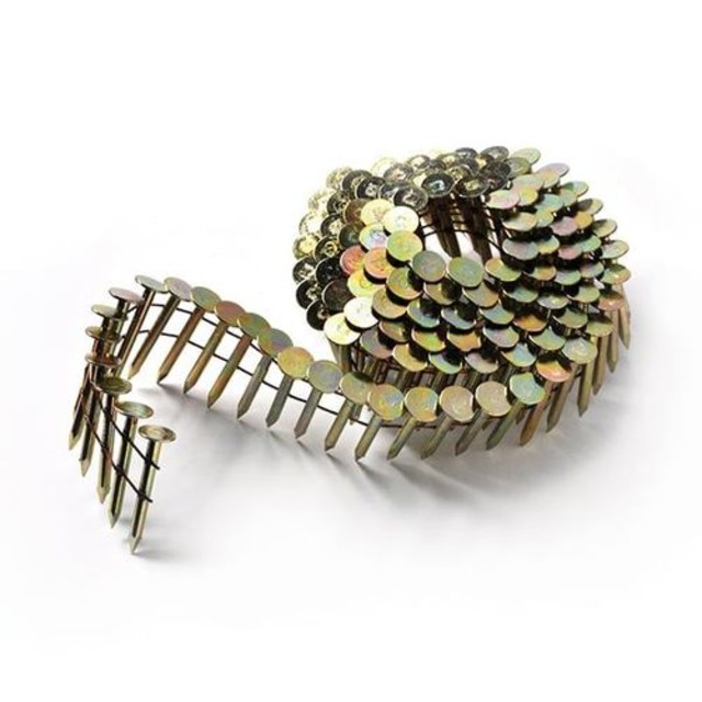 Coil Nails